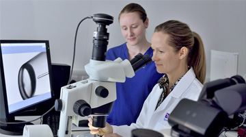 How to become a Clinical Embryologist: why an MSc could be the key